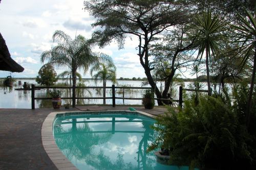 Nkwazi (5)